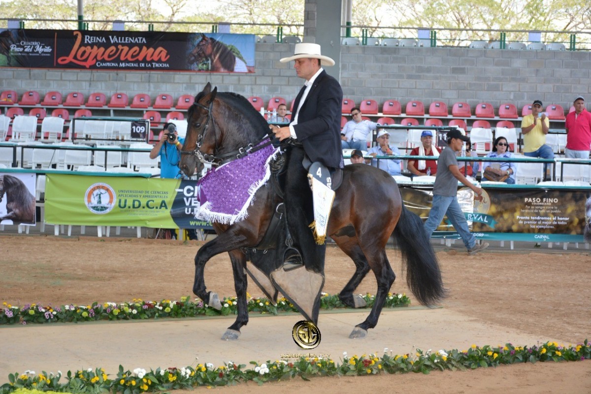 VÍDEO:Altanero Mejor, Picasso 1P, Potros De la Trocha Y Galope, Nacional 2018