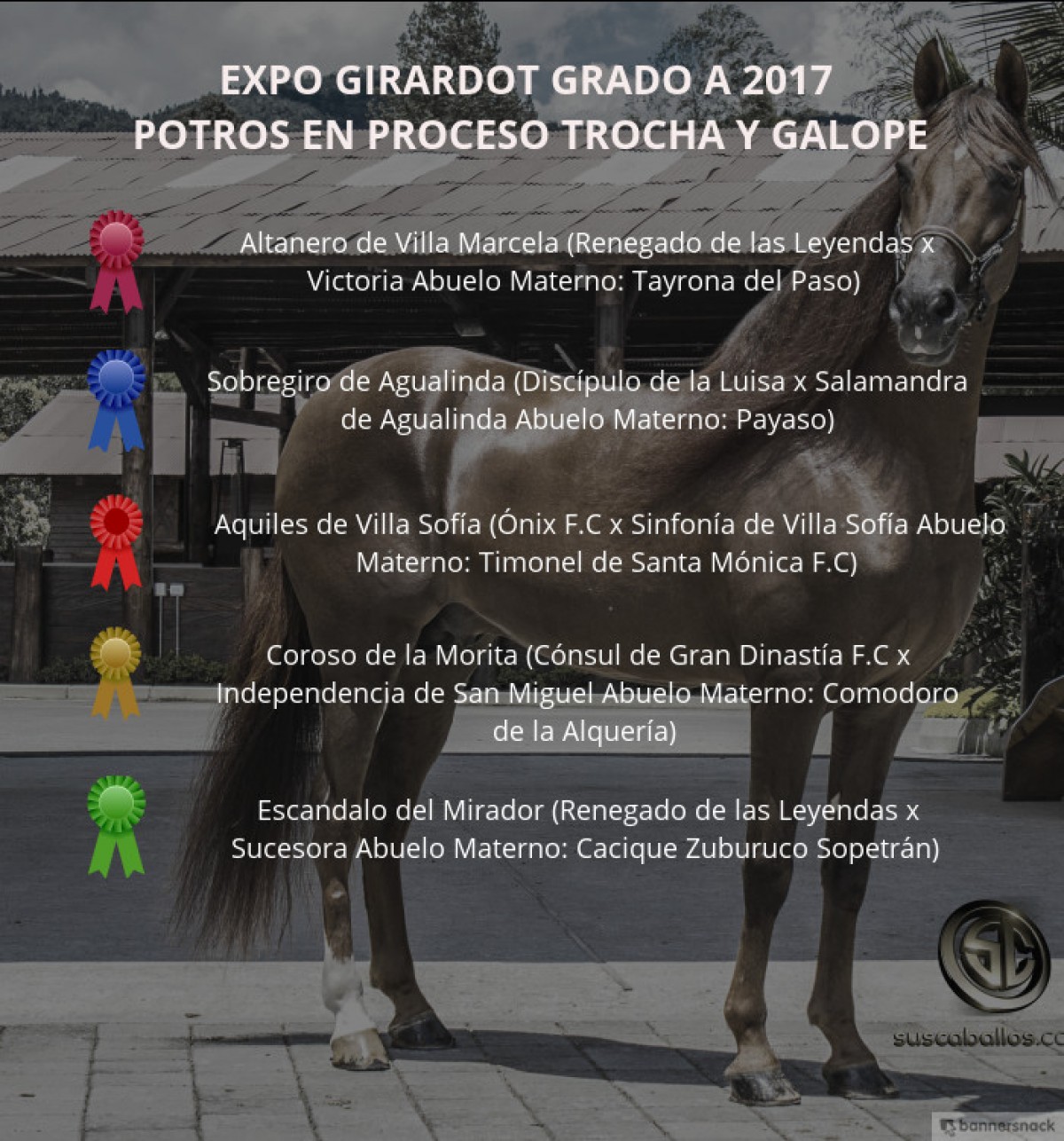 V&Iacute;DEO: Altanero Mejor, Sobregiro 1P, Potros Trocha Y Galope, Expo Girardot 2017