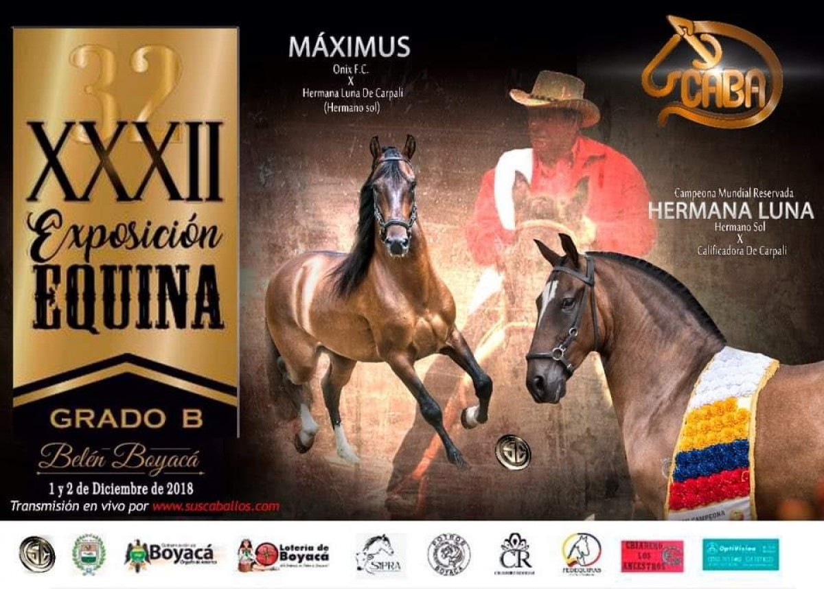 RESULTADOS XXXII Exposición Equina Grado B, Belén - Boyaca 2018 - TROCHA Y GALOPE