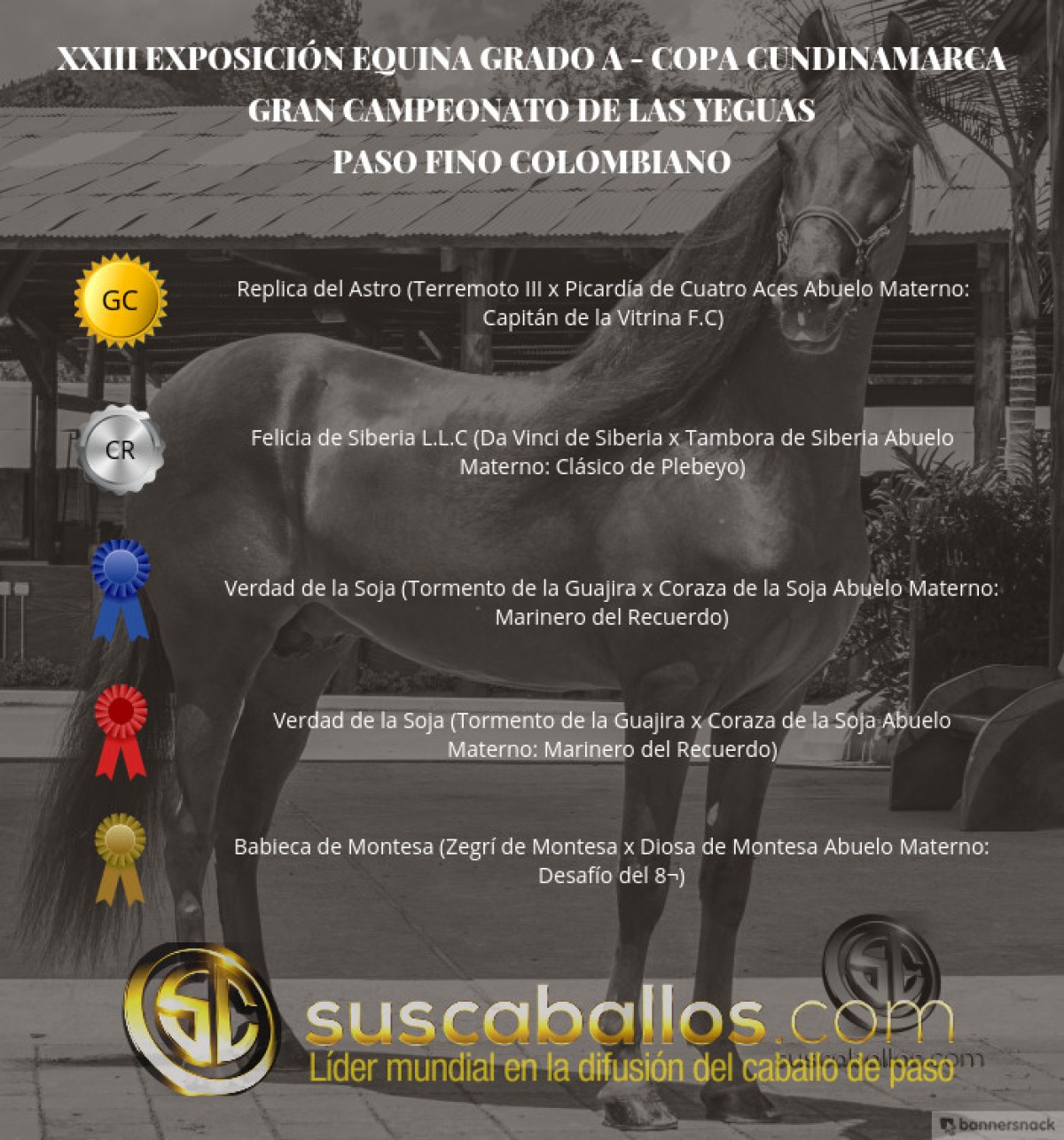 VÍDEO:Replica Campeona, Felicia Reservada,Paso Fino Colombiano,Copa Cundinamarca