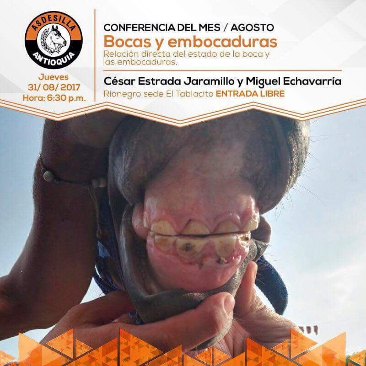 Conferencia Mes De Agosto: Bocas Y Embocaduras