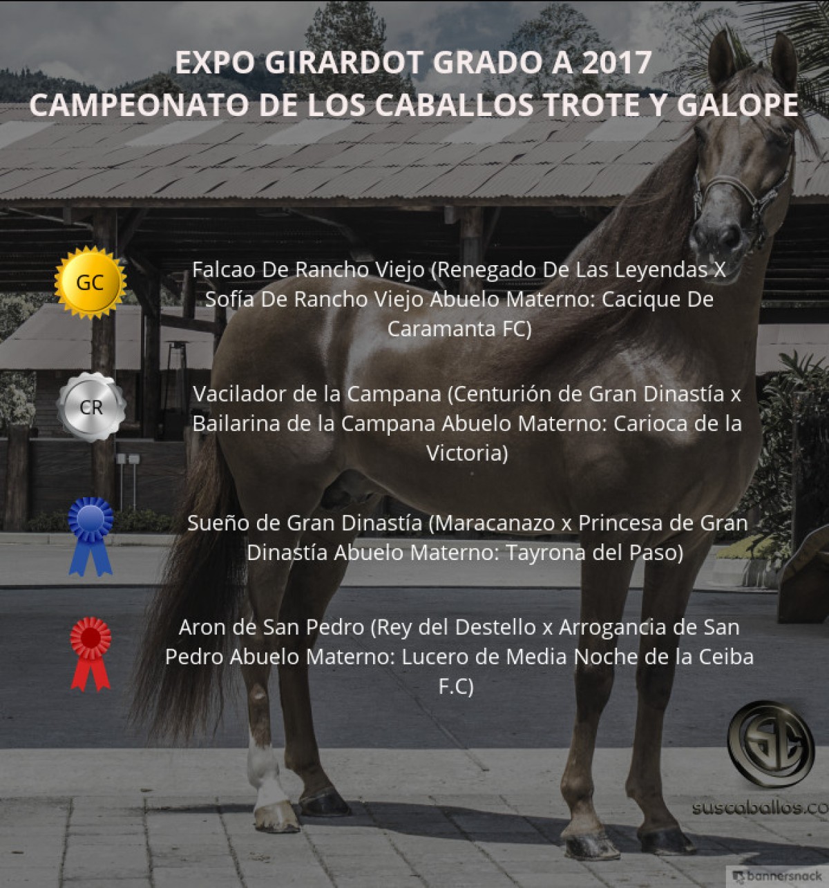 VÍDEO: Falcao Campeón, Vacilador Reservado, Trote Y Galope, Expo Girardot 2017
