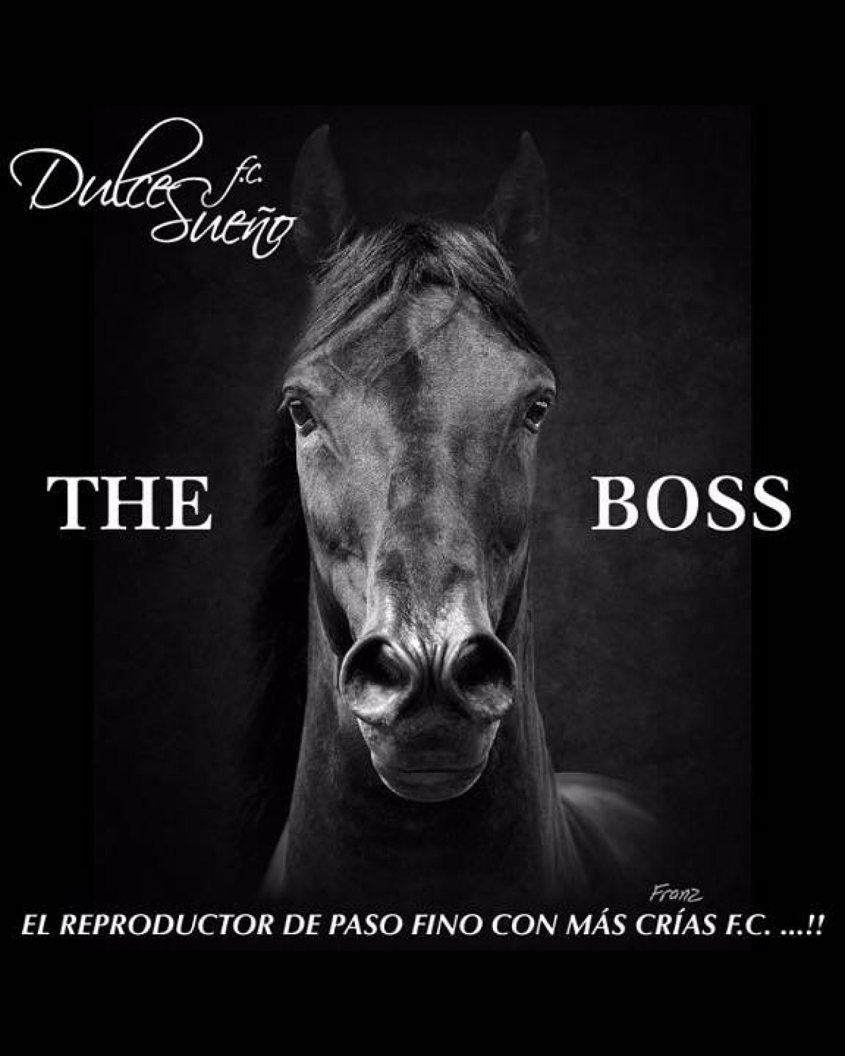 GRAN PROMOCI&Oacute;N DE DULCE SUE&Ntilde;O DE LUSITANIA EN COLOMBIA!!...