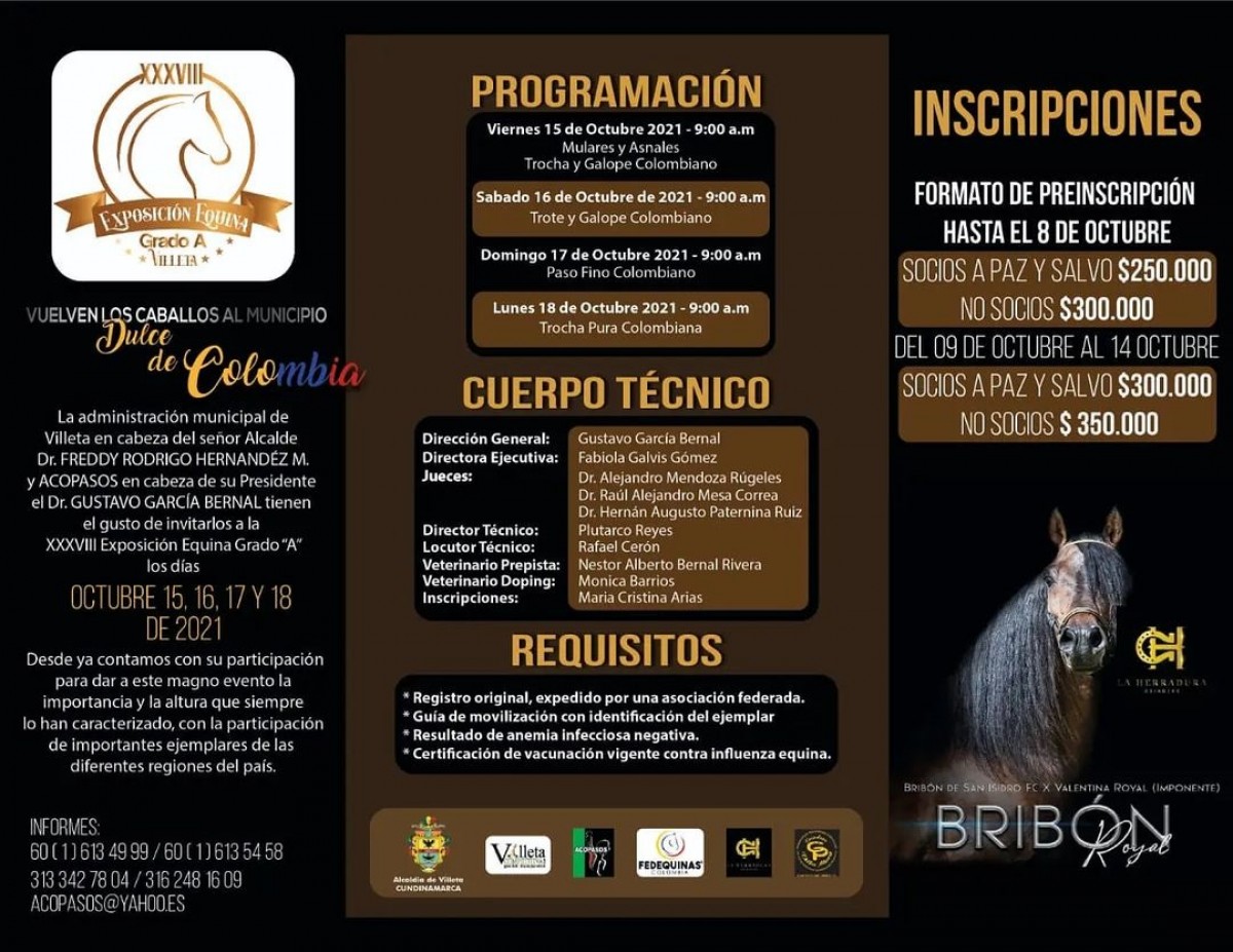 Equina Grado A de Villeta del 15 al 18 de octubre.