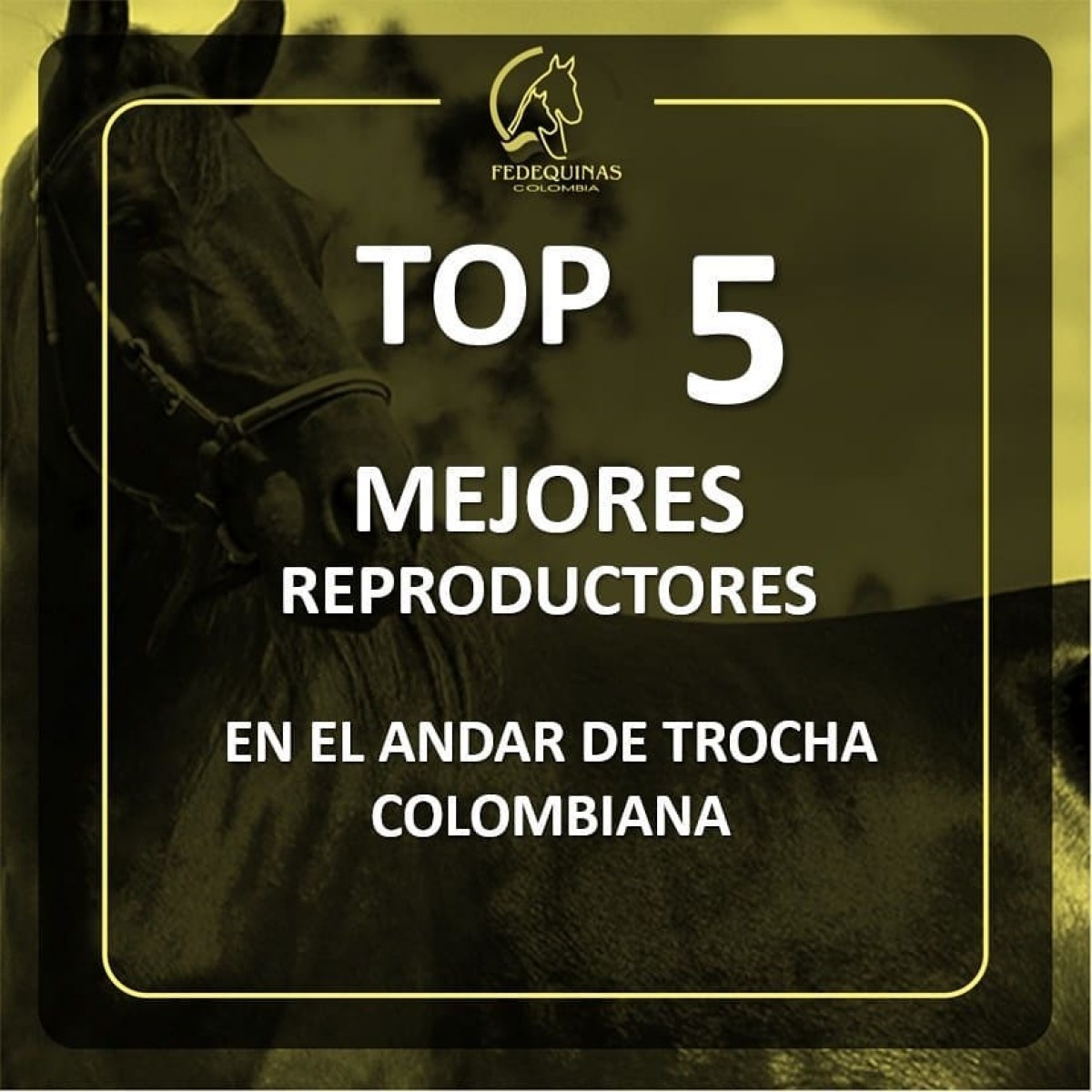Top 5 mejores reproductores y reproductoras en el andar de Trocha Colombiana