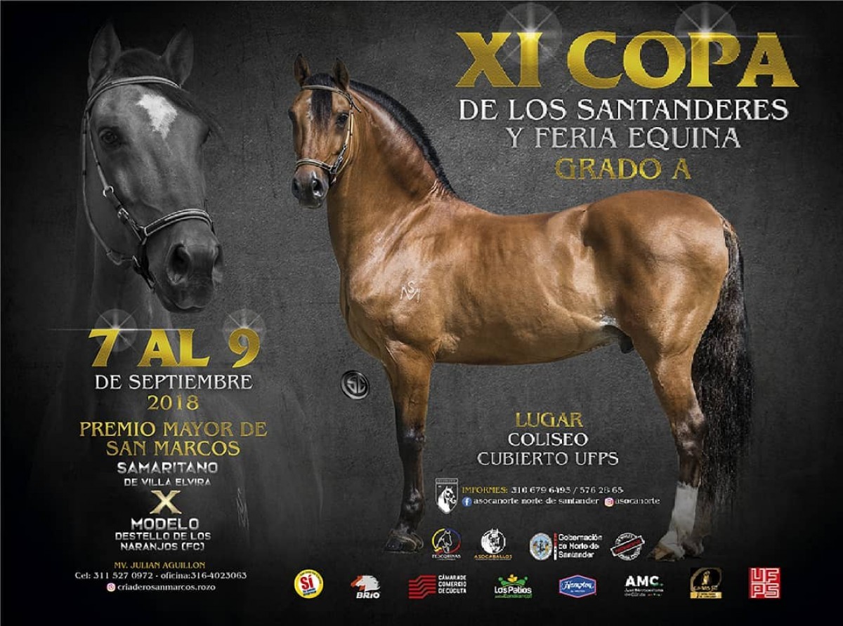 RESULTADOS XI Copa De Los Santanderes, C&uacute;cuta 2018 - TROTE Y GALOPE