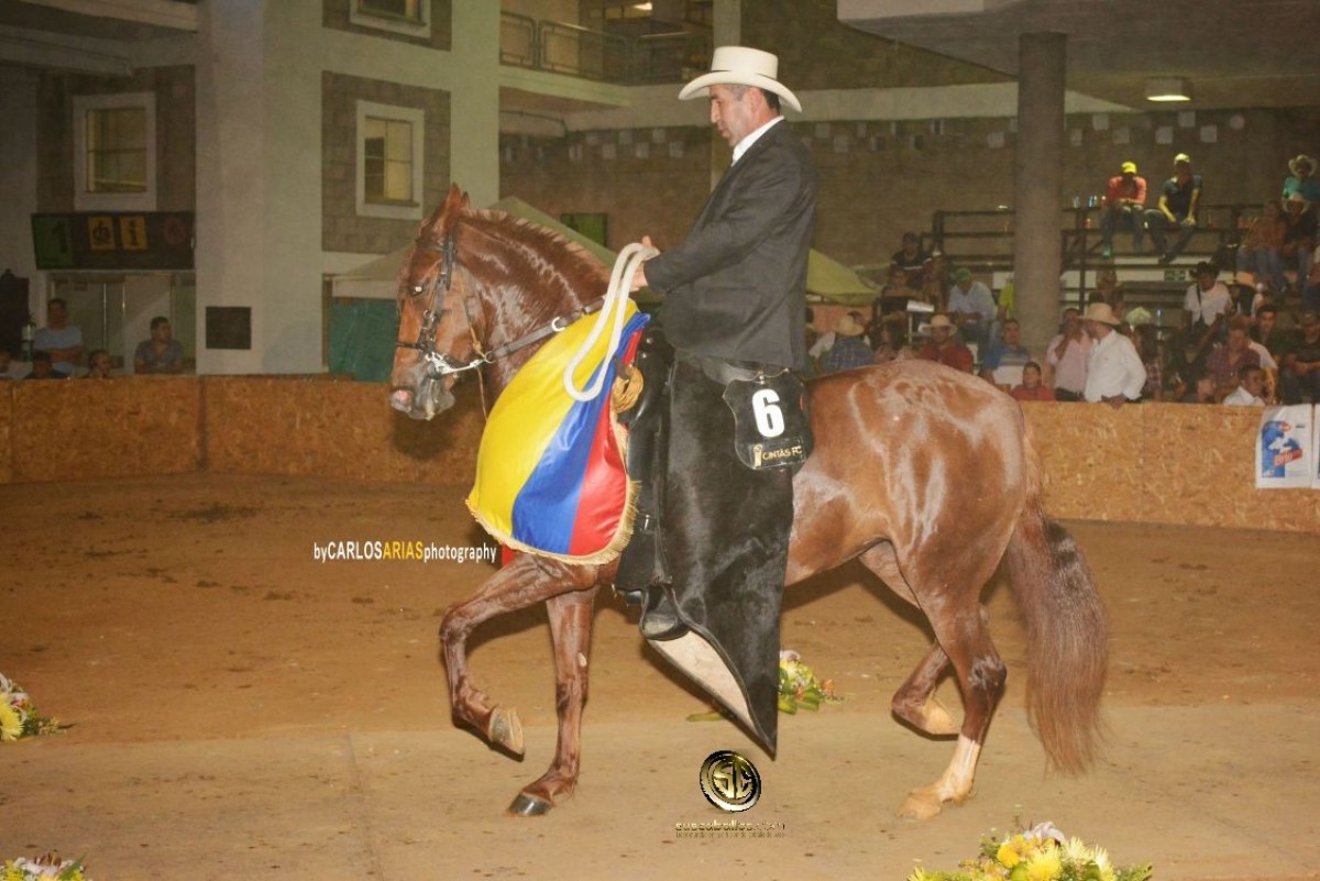 RESULTADOS XXIX Exposición Equina Grado B Bucaramanga 2018 - TROTE Y GALOPE