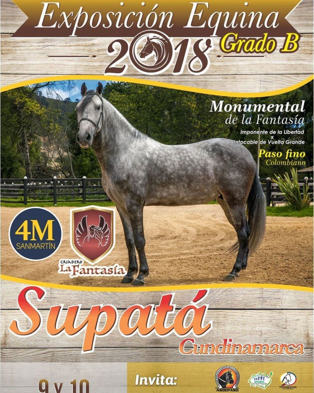 RESULTADOS XVII Exposición Equina Grado "B" SUPATA 2018- TROCHA Y GALOPE