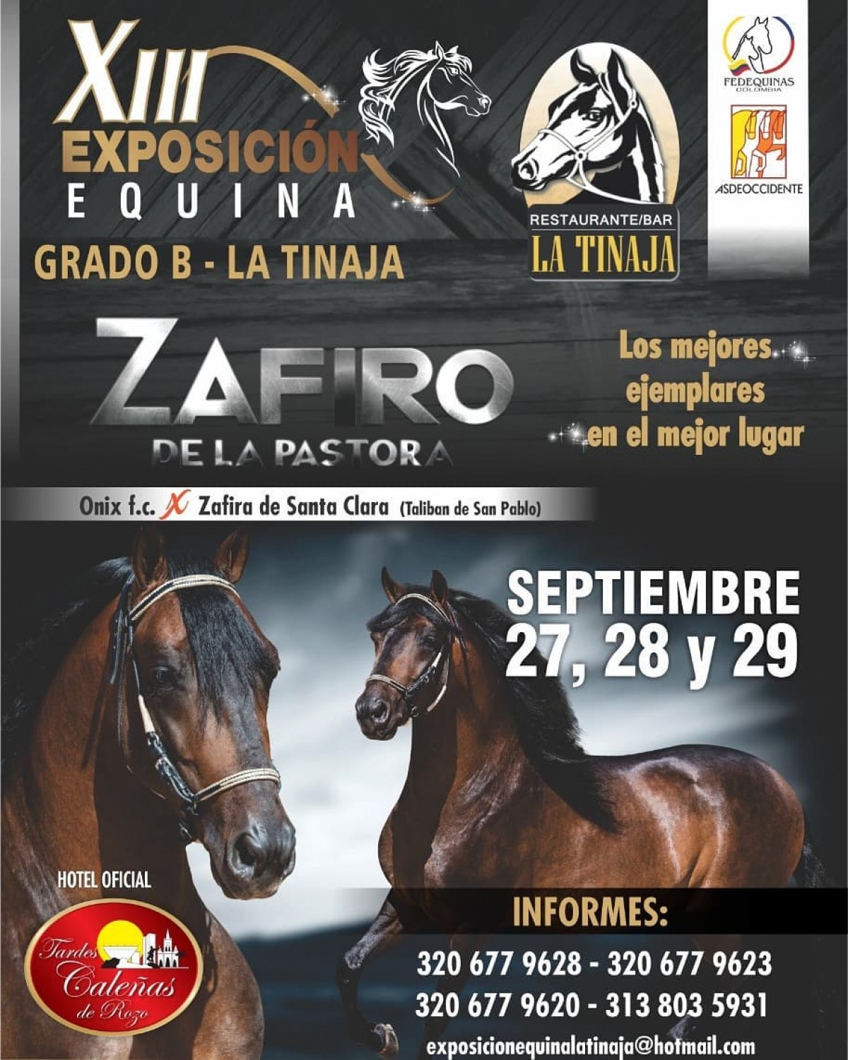 TRANSMISI&Oacute;N XIII Exposici&oacute;n Equina Grado B La Tinaja, Del 27 al 29 de Septiembre