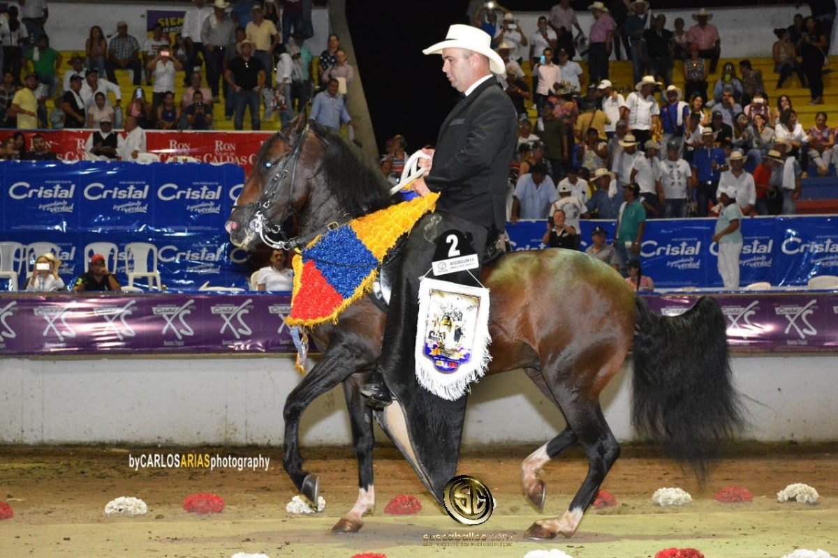V&Iacute;DEO: Premier Gran Campe&oacute;n De la Trocha Colombiana, Armenia 2018