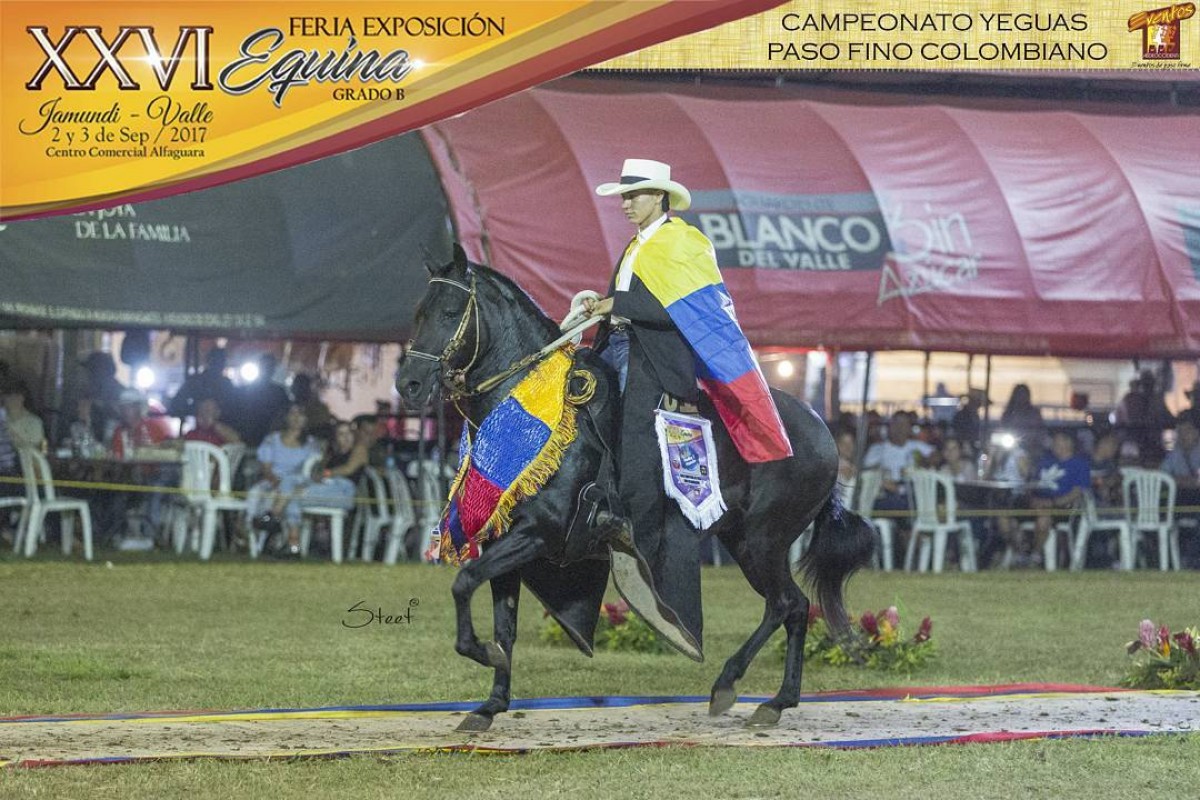 RESULTADOS XXVI Exposición Equina Grado B, Jamundi 2017