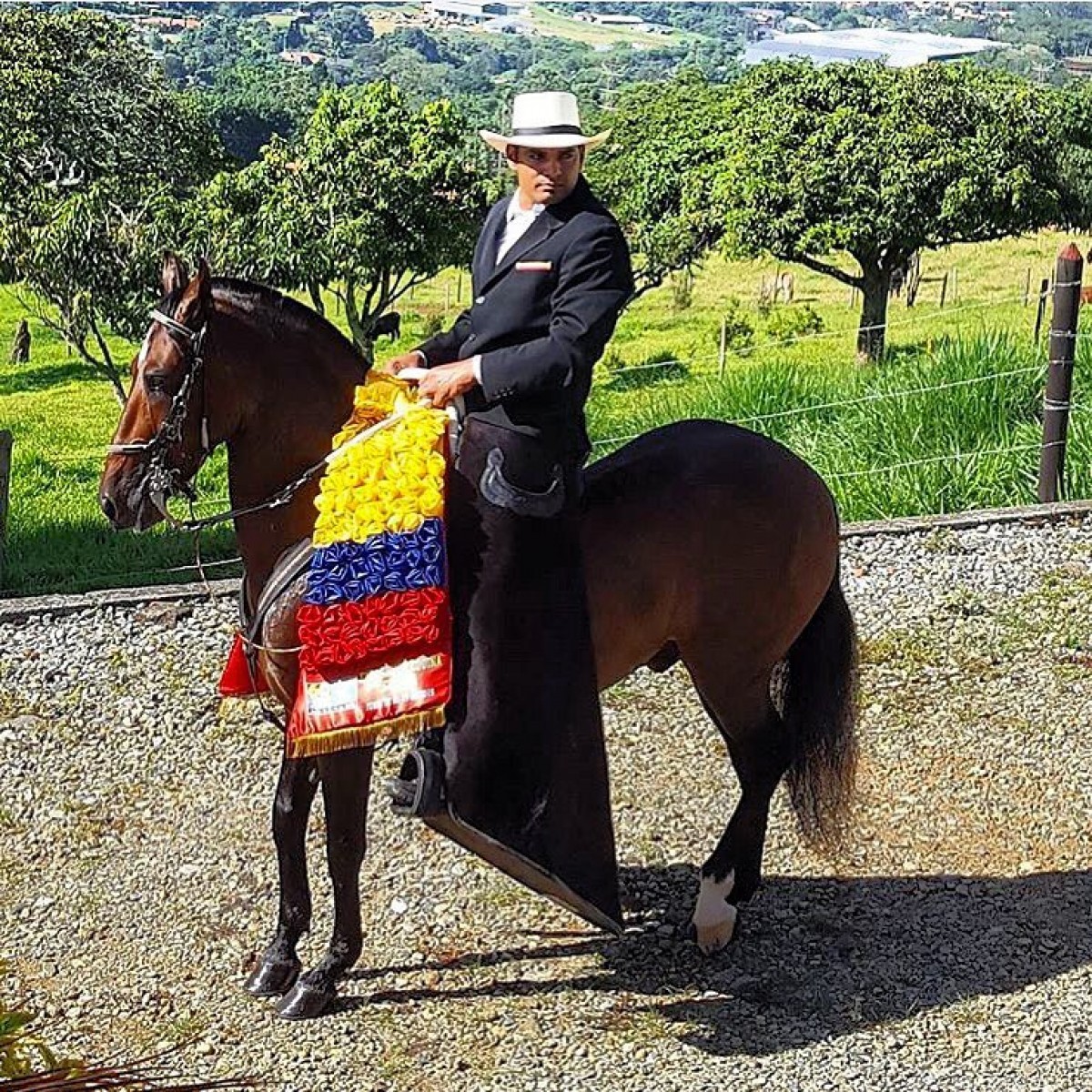 V&Iacute;DEO: Delirio Campe&oacute;n, Destello Reservado, Trocha Y Galope, Bucaramanga 2017