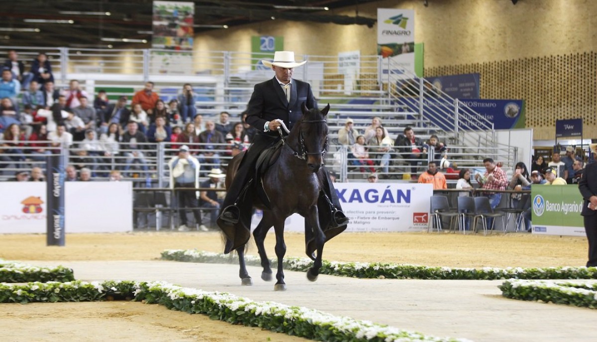 ¿CÓMO TRASLADAR UN CABALLO A UNA FERIA SIN QUE SE AFECTE SU RENDIMIENTO EN COMPETENCIA?