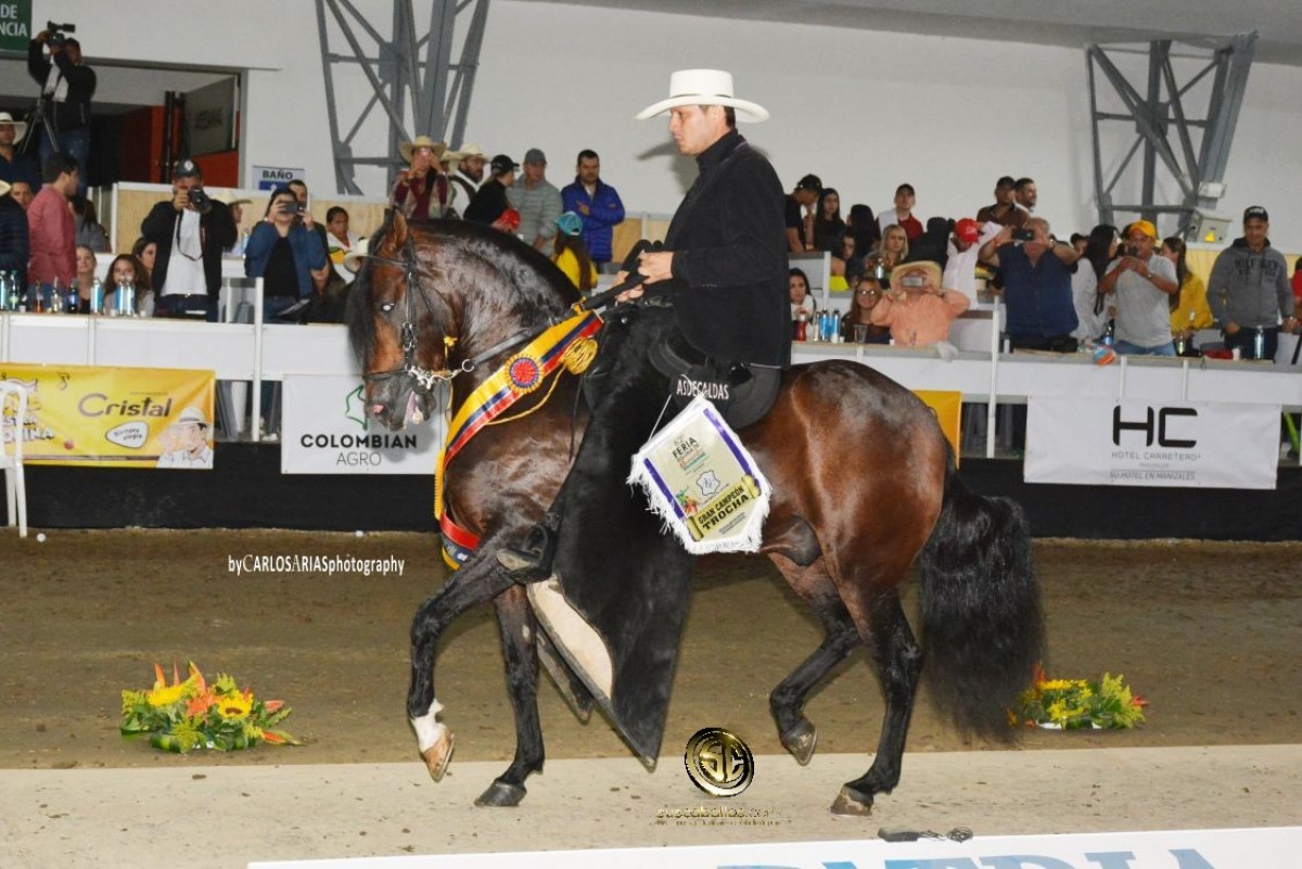 VÍDEO: Eros Campeón, Timbalero Reservado, Trocha Colombiana, Manizales 2018