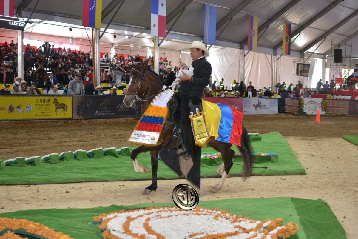 RESULTADOS XIII MUNDIAL EQUINA CONFEPASO - CAMPEONATOS