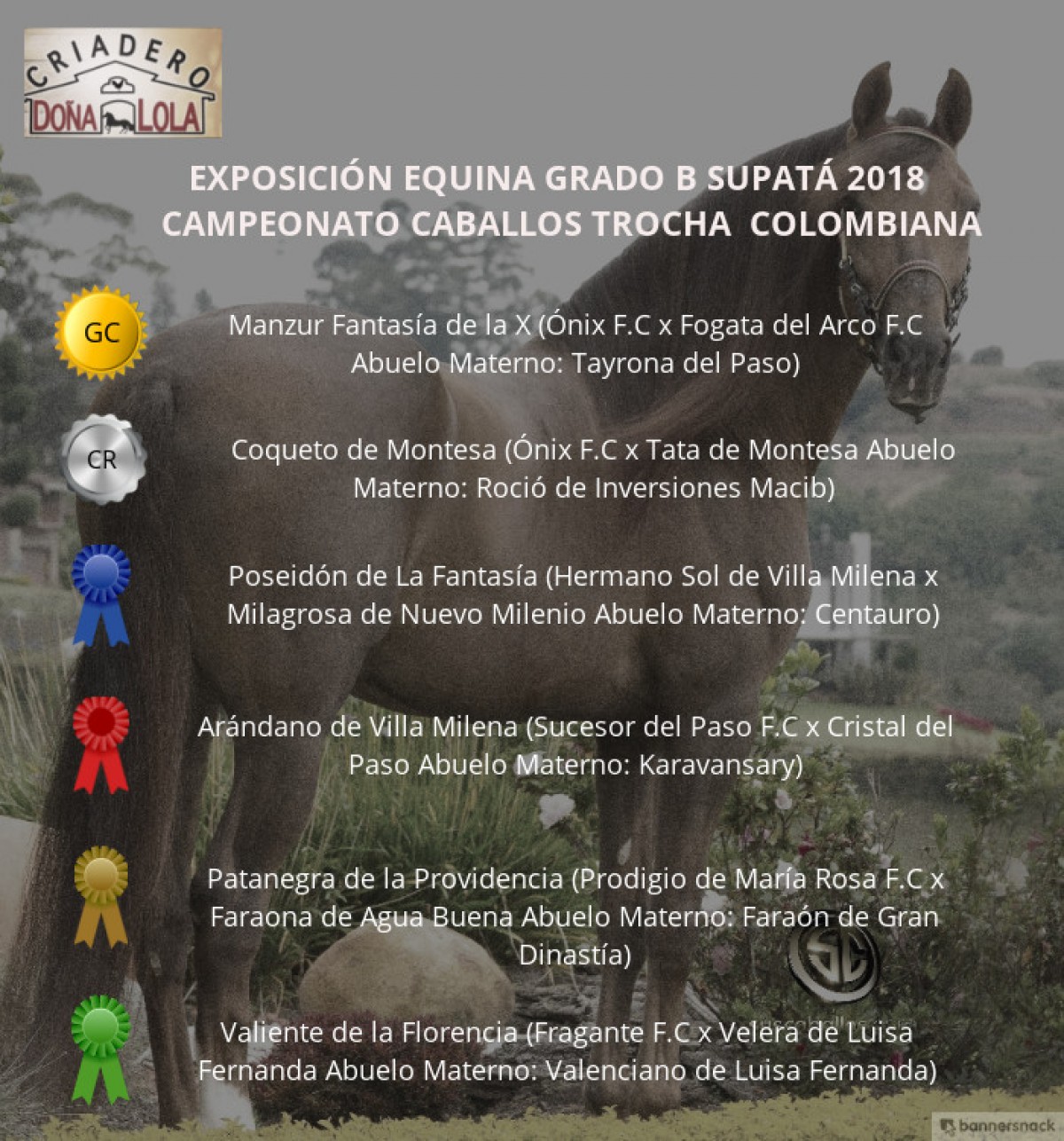 VÍDEO: Manzur Campeón, Coqueto Reservado, Supatá Grado B 2018