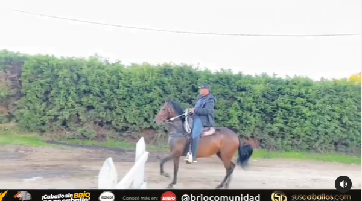 Sara de @criaderogh y @cossiofabian 