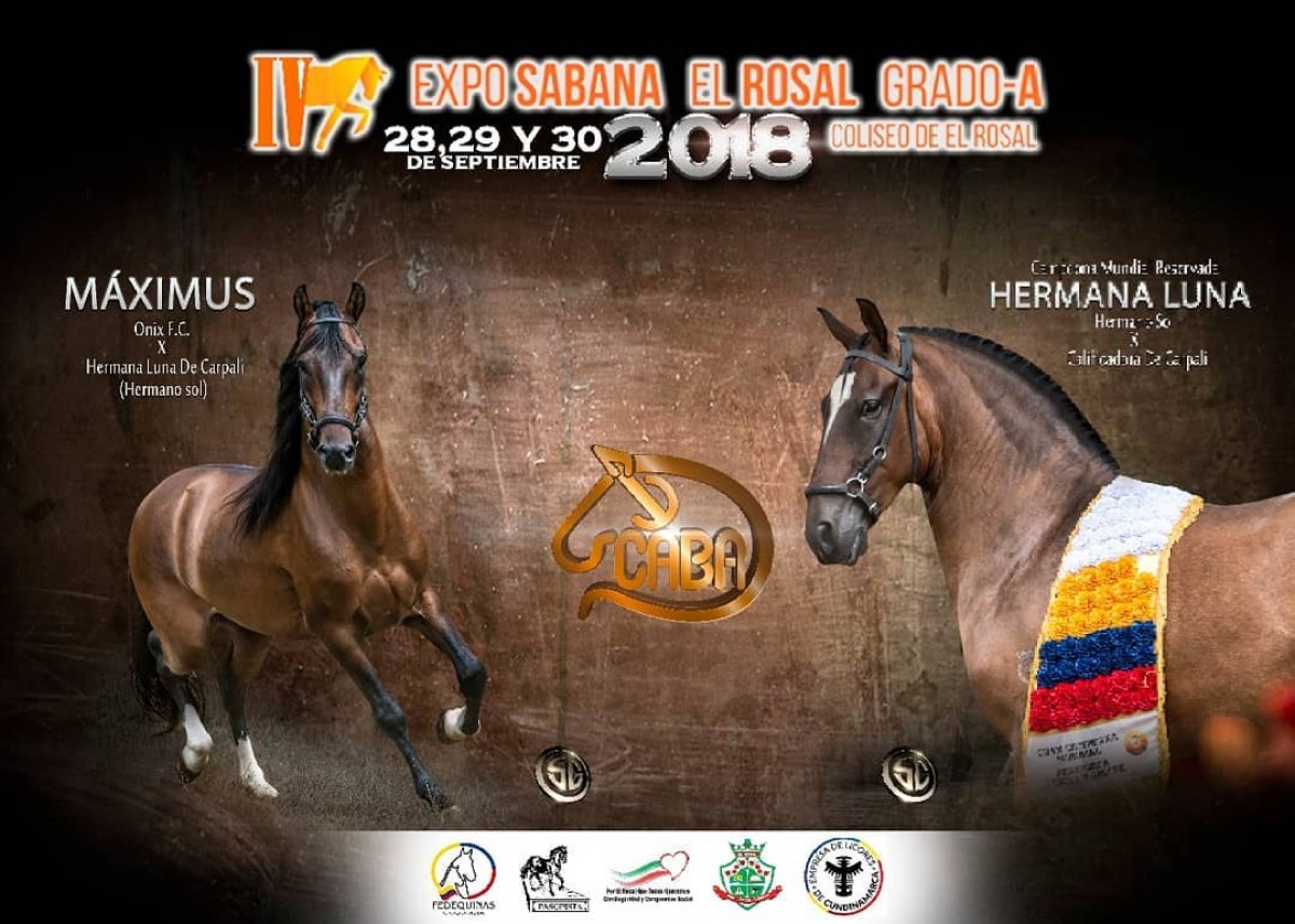 RESULTADOS IV Exposabana Grado A el Rosal 2018 - TROCHA COLOMBIANA 