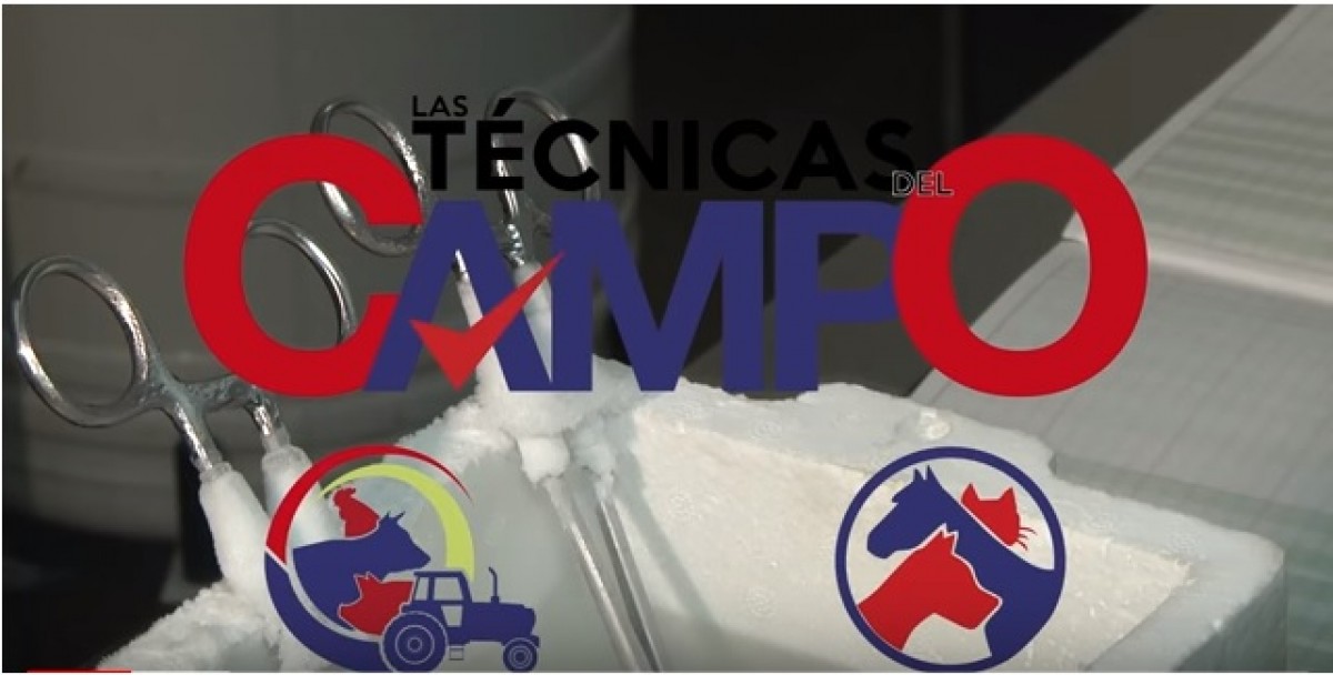 VÍDEO: Las Técnicas del Campo: Centro Reproducción Genética Parte #1