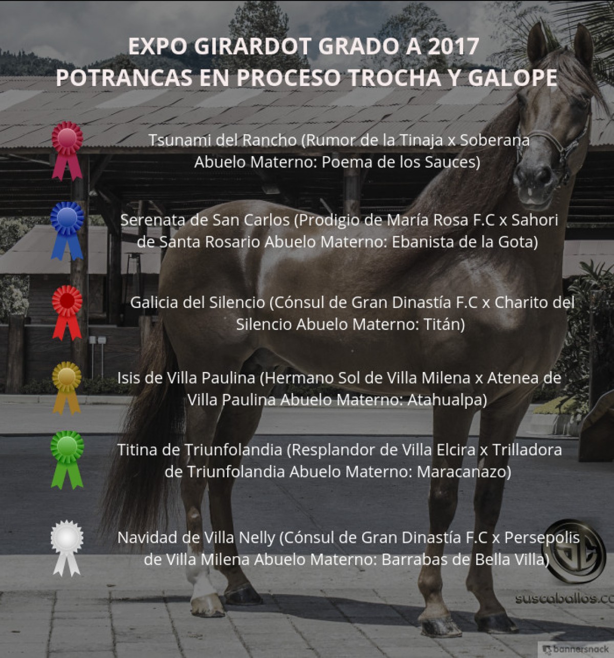 VÍDEO: Tsunami Mejor, Serenata 1P, Potrancas Trocha Y Galope, Expo Girardot 2017