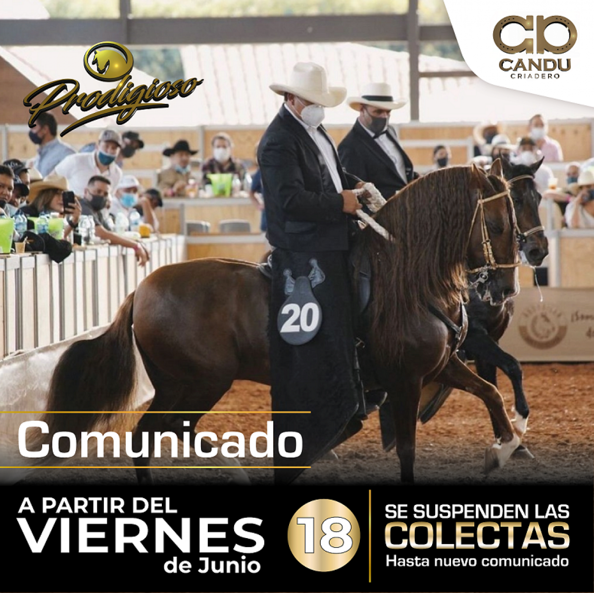 COMUNICADO PRODIGIOSO TROCHA / CRIADERO CANDU