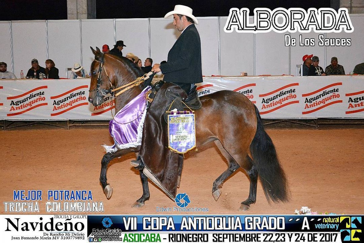 V&Iacute;DEO:Seis De Seis, Hijas De &Oacute;nix F.C Potrancas De La Trocha, VII Copa Antioquia