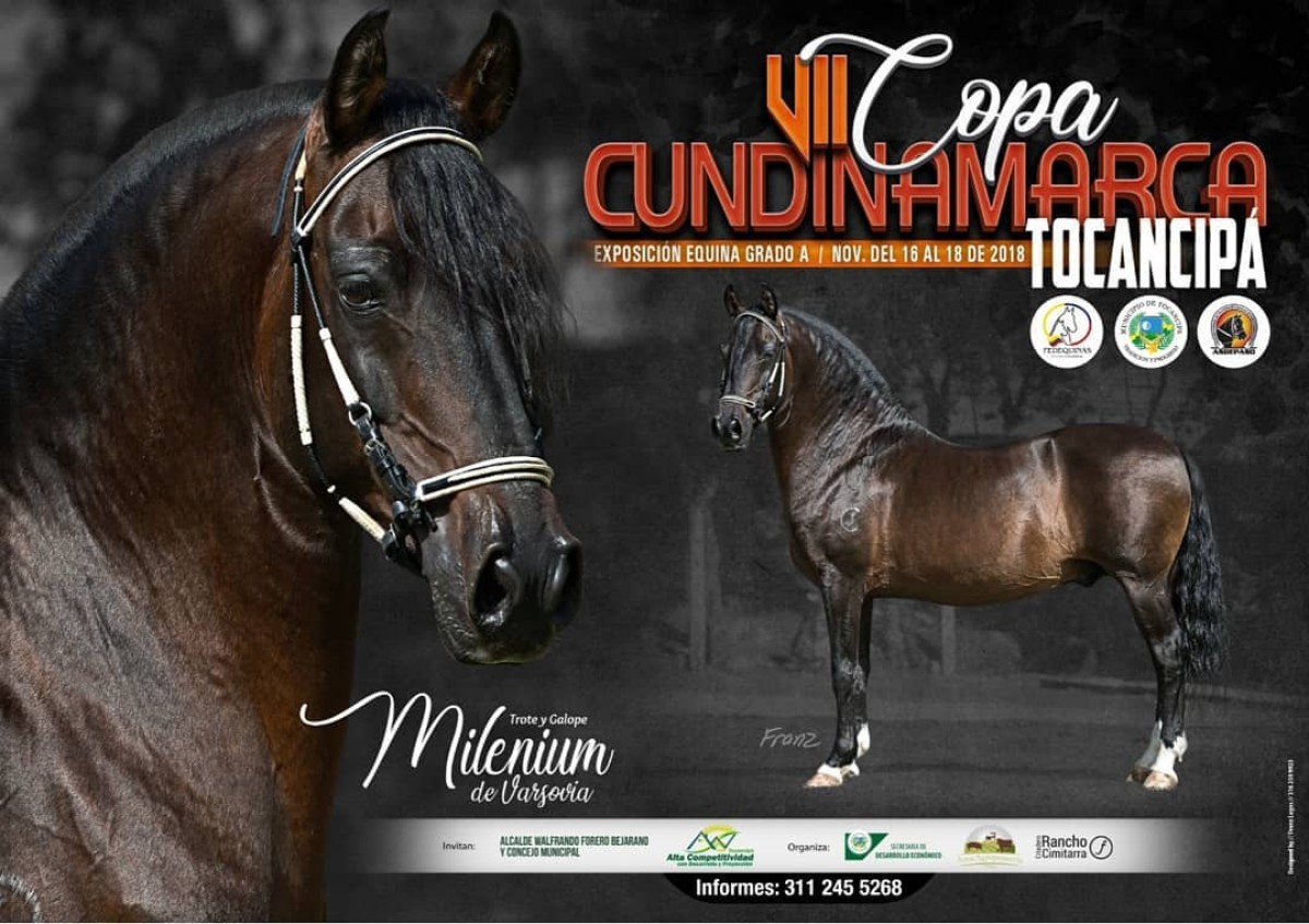 RESULTADOS VII Copa Cundinamarca Exposición Equina Grado A - TROCHA COLOMBIANA