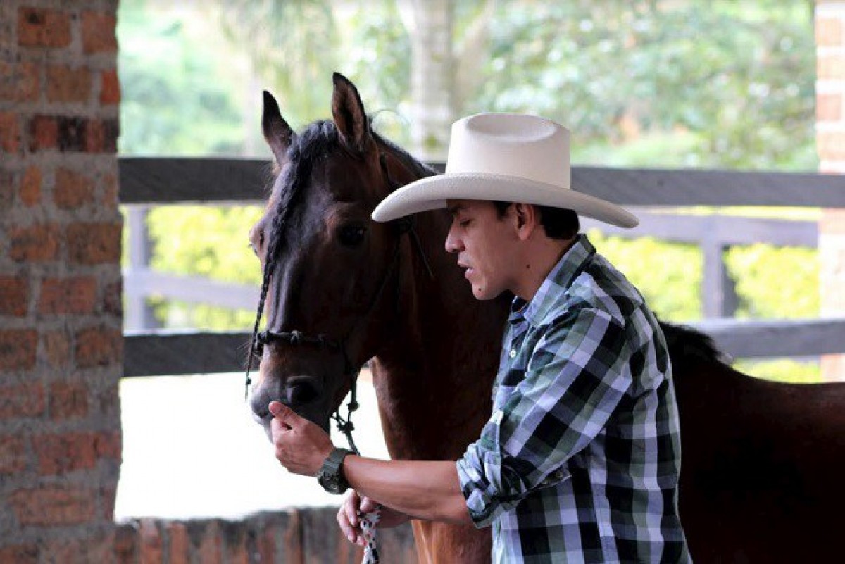 Piensa Como Tu Caballo y entender&aacute;s mejor su mundo