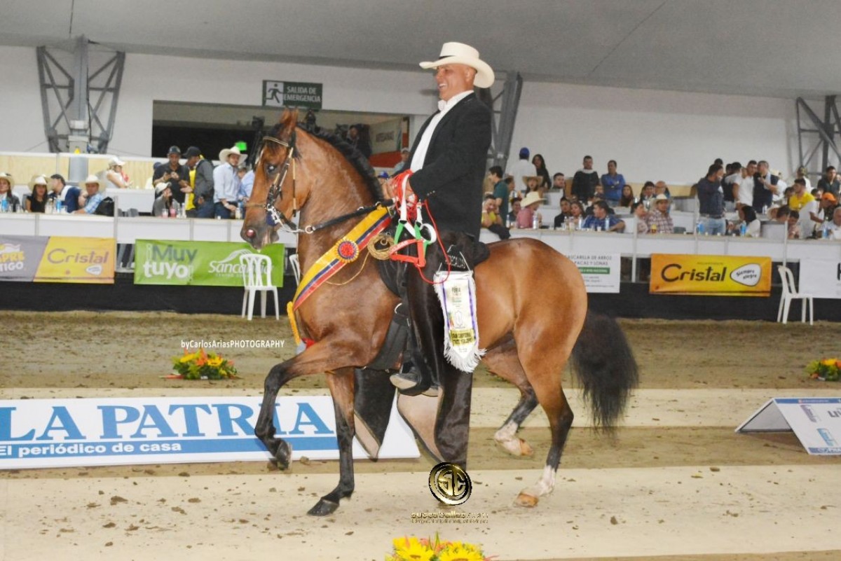 VÍDEO: Bárbara Campeona, Wuaka Reservada, Trote Y Galope, Manizales 2018