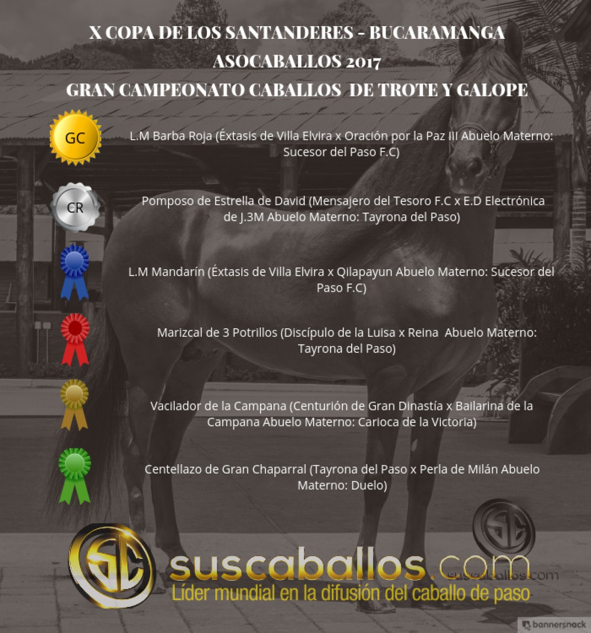 V&Iacute;DEO: L.M Barba Roja Campe&oacute;n, Pomposo Reservado, Trote Y Galope, Bucaramanga