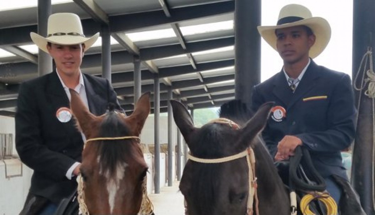 ¿Qué Puede Determinar El Precio Que Tiene Un Caballo Criollo Colombiano?