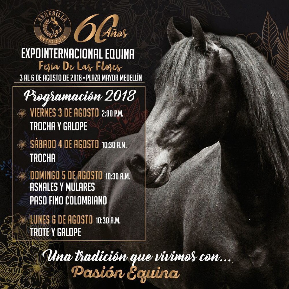Prográmese Para La Expointernacional Equina Feria De Flores en sus 60 años