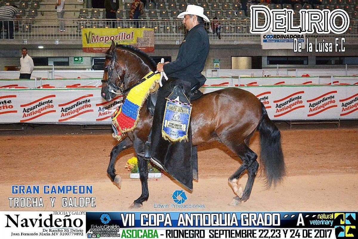 V&Iacute;DEO: Delirio Campe&oacute;n, Catal&aacute;n Reservado, Trocha Y Galope, VII Copa Antioquia