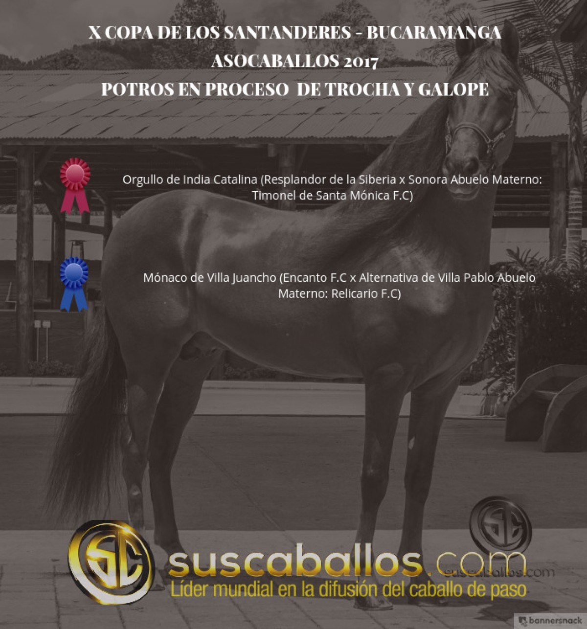 V&Iacute;DEO: Orgullo Mejor, M&oacute;naco 1P, Potros De Trocha Y Galope, Bucaramanga