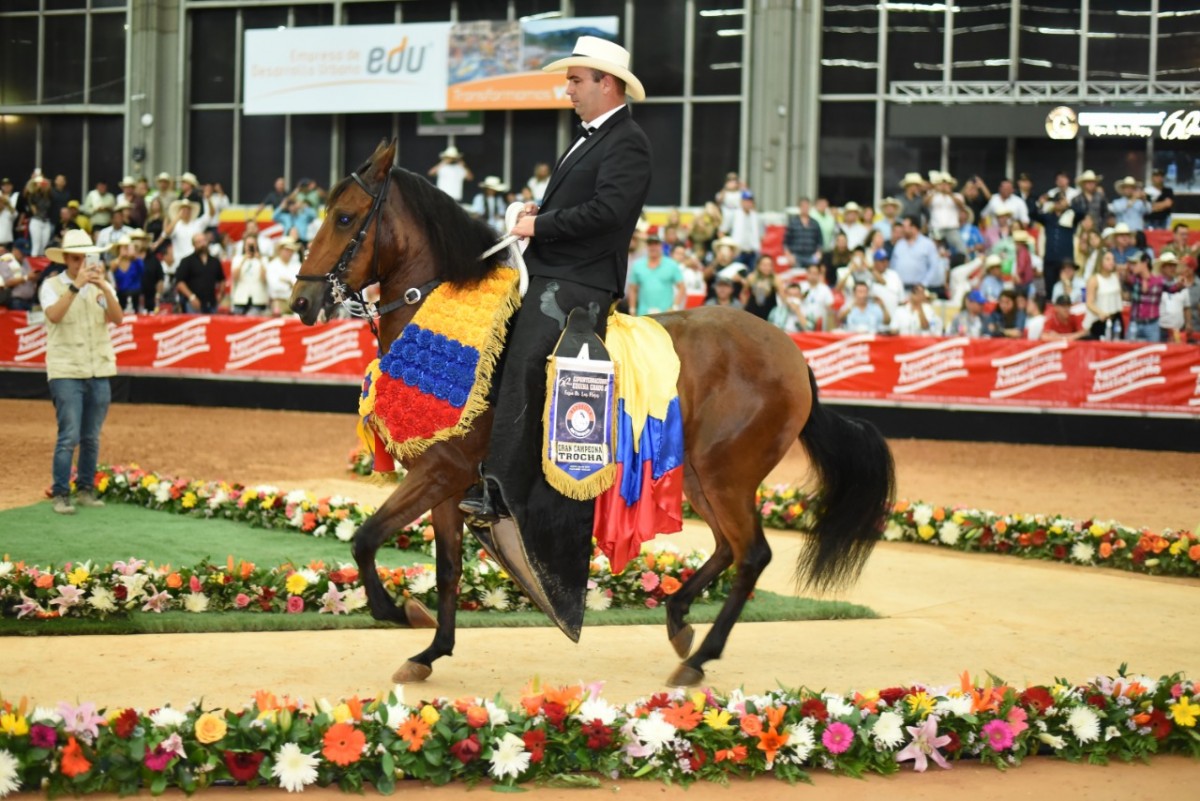 VÍDEO: Gitana Campeona, Flor Reservada, Trocha Colombiana, Feria de Flores