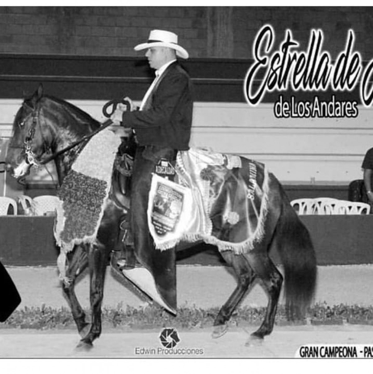 Una Lamentable P&eacute;rdida Muere la yegua Estrella de &Aacute;frica