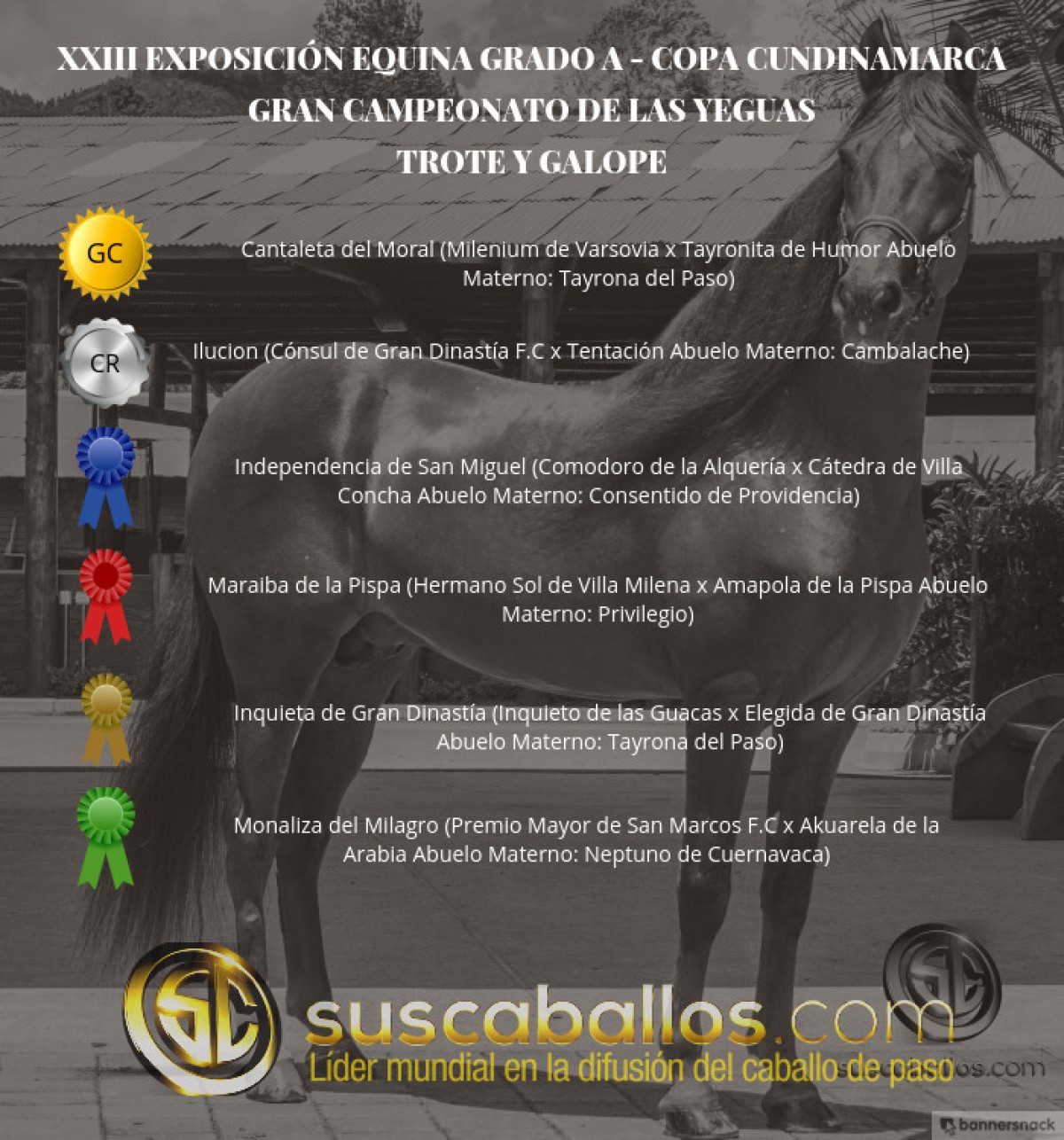 V&Iacute;DEO: Cantaleta Campeona, Iluci&oacute;n Reservada, Trote Y Galope, Copa Cundinamarca