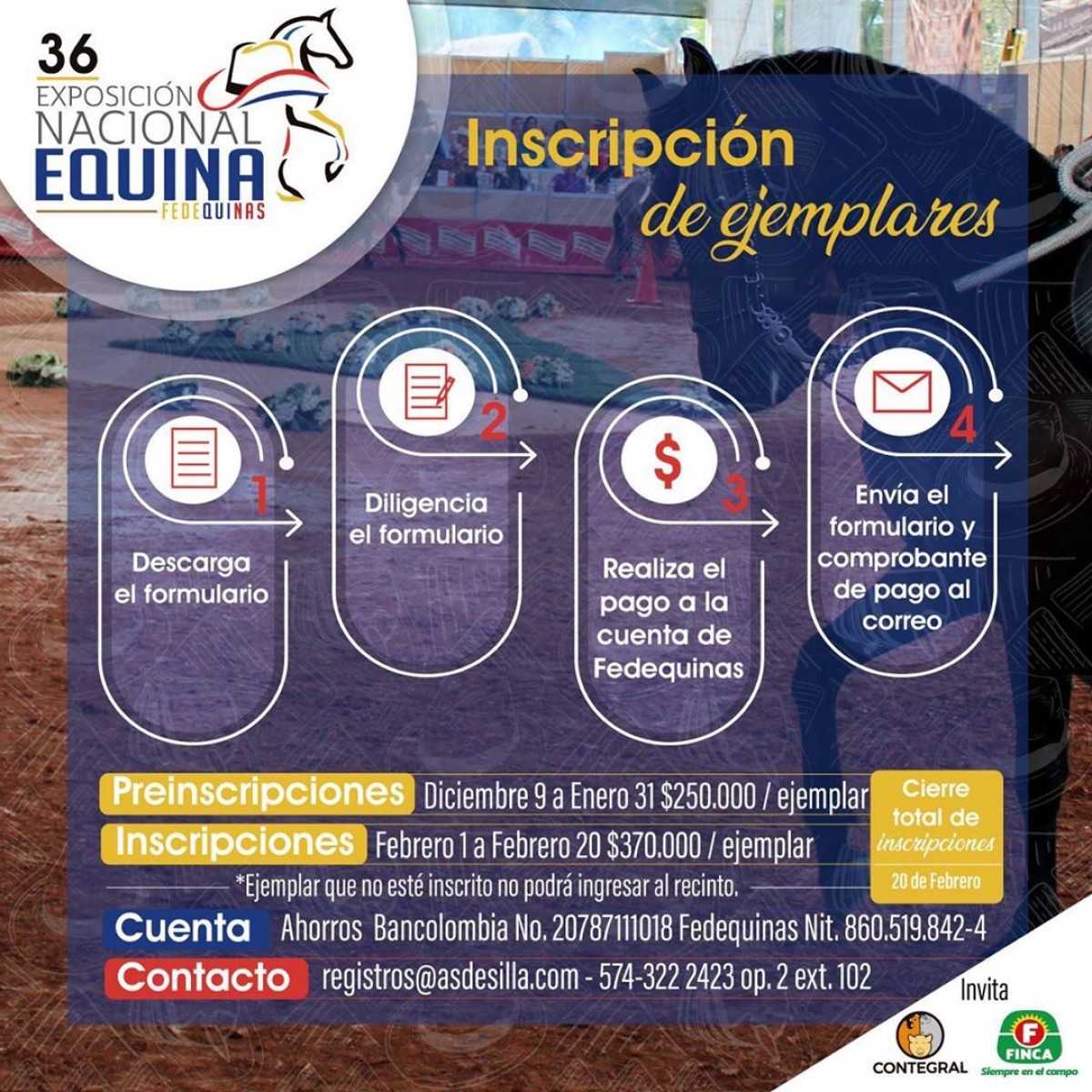 Ya Pueden Preinscribir A Sus Ejemplar Para La Nacional Equina 2020