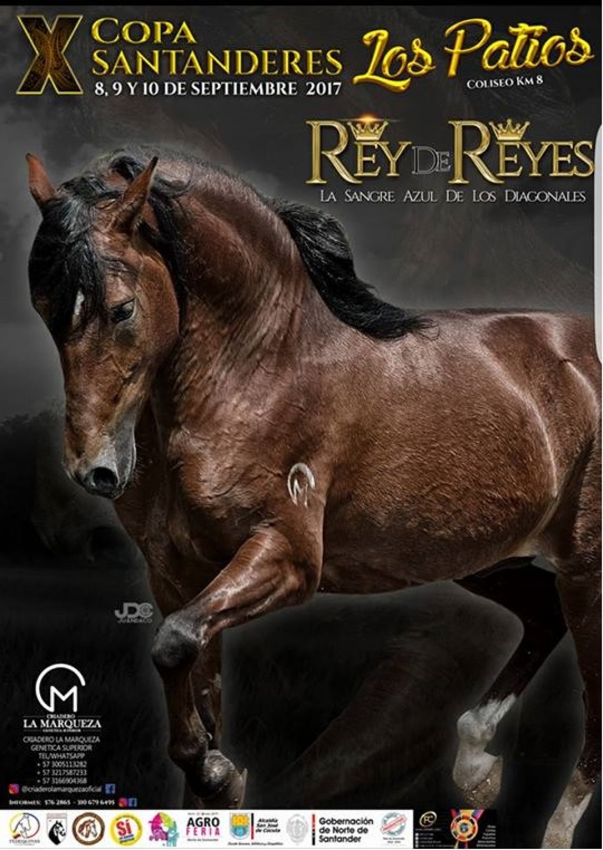 TRANSMISIÓN X COPA LOS SANTANDERES: CÚCUTA 8 - 10, BUCARAMANGA 15 Al 17 Sep