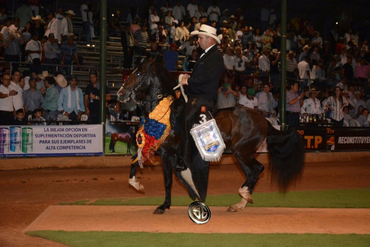 VÍDEO: Premier Campeón, Rey De Reyes Reservado, Trocha - XXV Copa América Equina