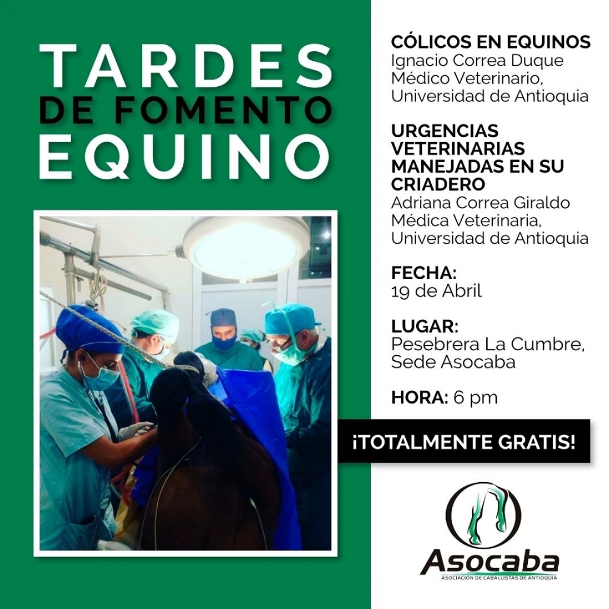 Tardes De Fomento Equino 19 de Abril, ASOCABA