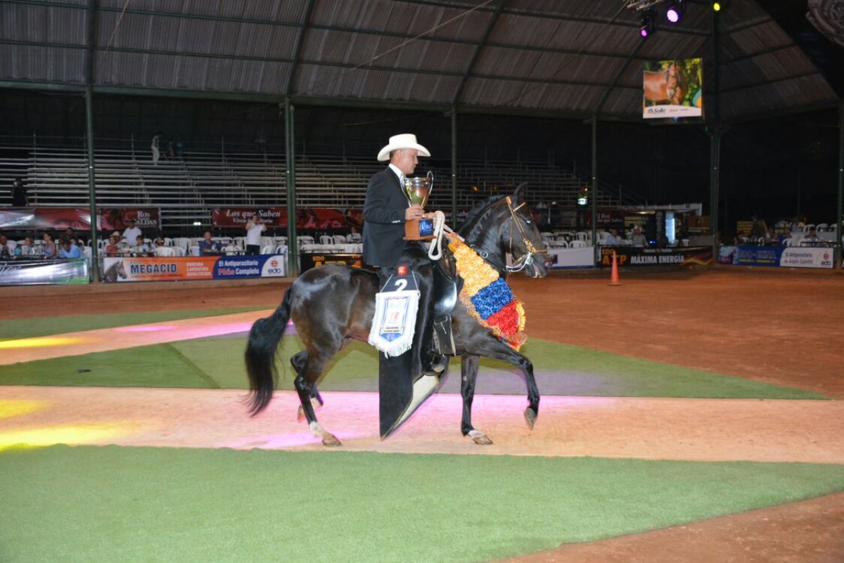 VÍDEO: Dinamita Campeona, Turqueza Reservada, Trocha Y Galope, XXV Copa América