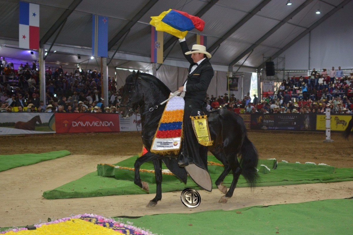 VÍDEO: Caballero Campeón Mundial, Delirio Reservado Mundial, Trocha Y Galope!!
