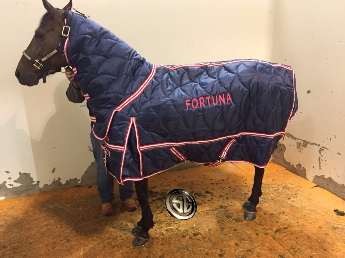 Ya Llegaron Los Caballos Que Representarán A Estados Unidos En La Mundial!!