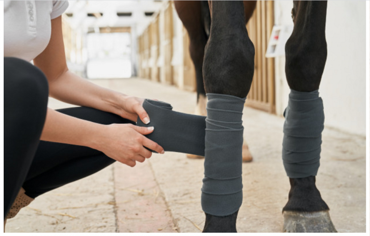 ¿Cómo evitar la cojera de mi caballo?