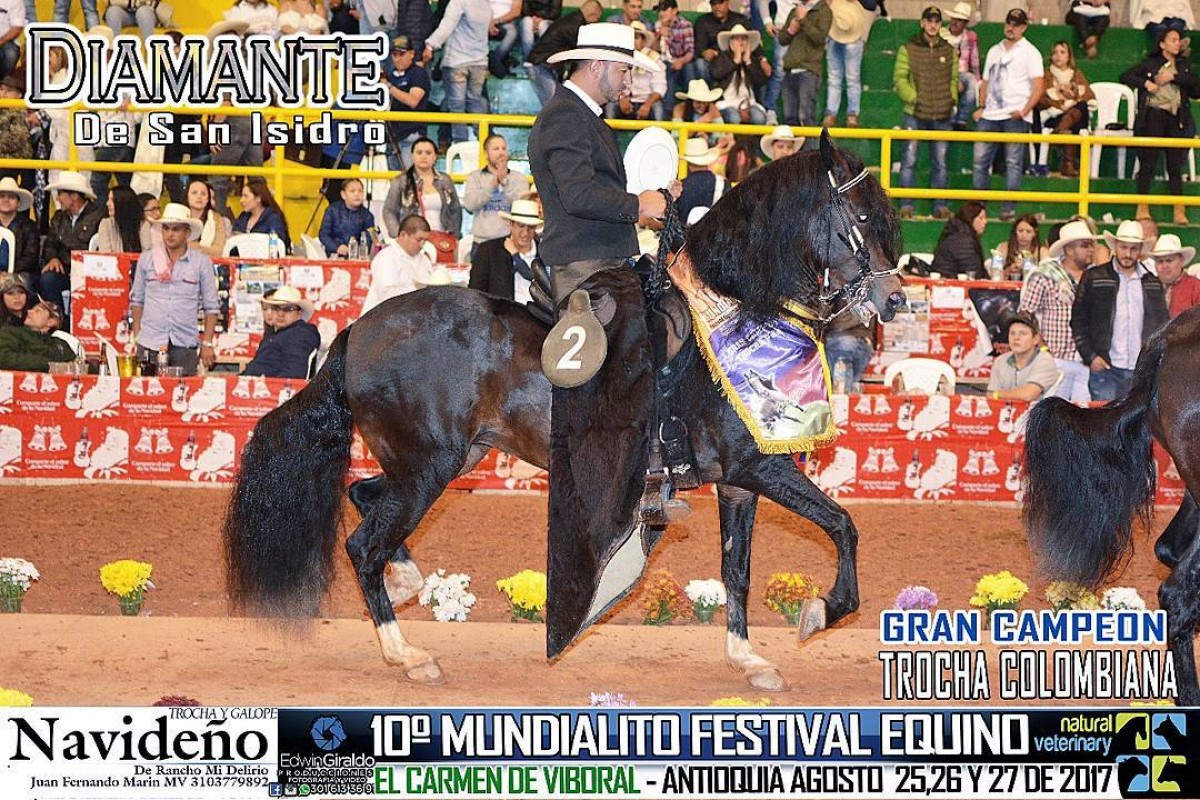 Los Campeones Y Los Mejores En El 10mo Mundialito Festival Equino
