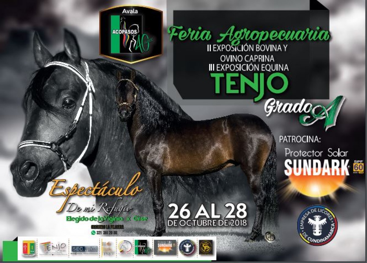 RESULTADOS III Exposici&oacute;n Equina Grado A Tenjo 2018 - PASO FINO COLOMBIANO