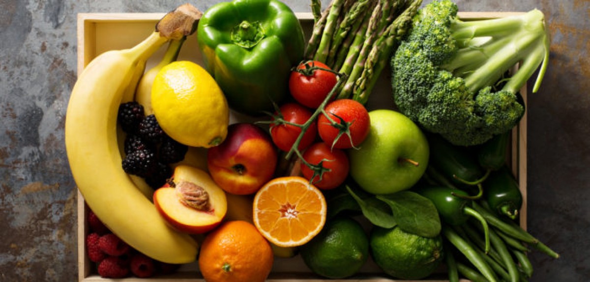 Alimentos admitidos y alimentos prohibidos para los caballos