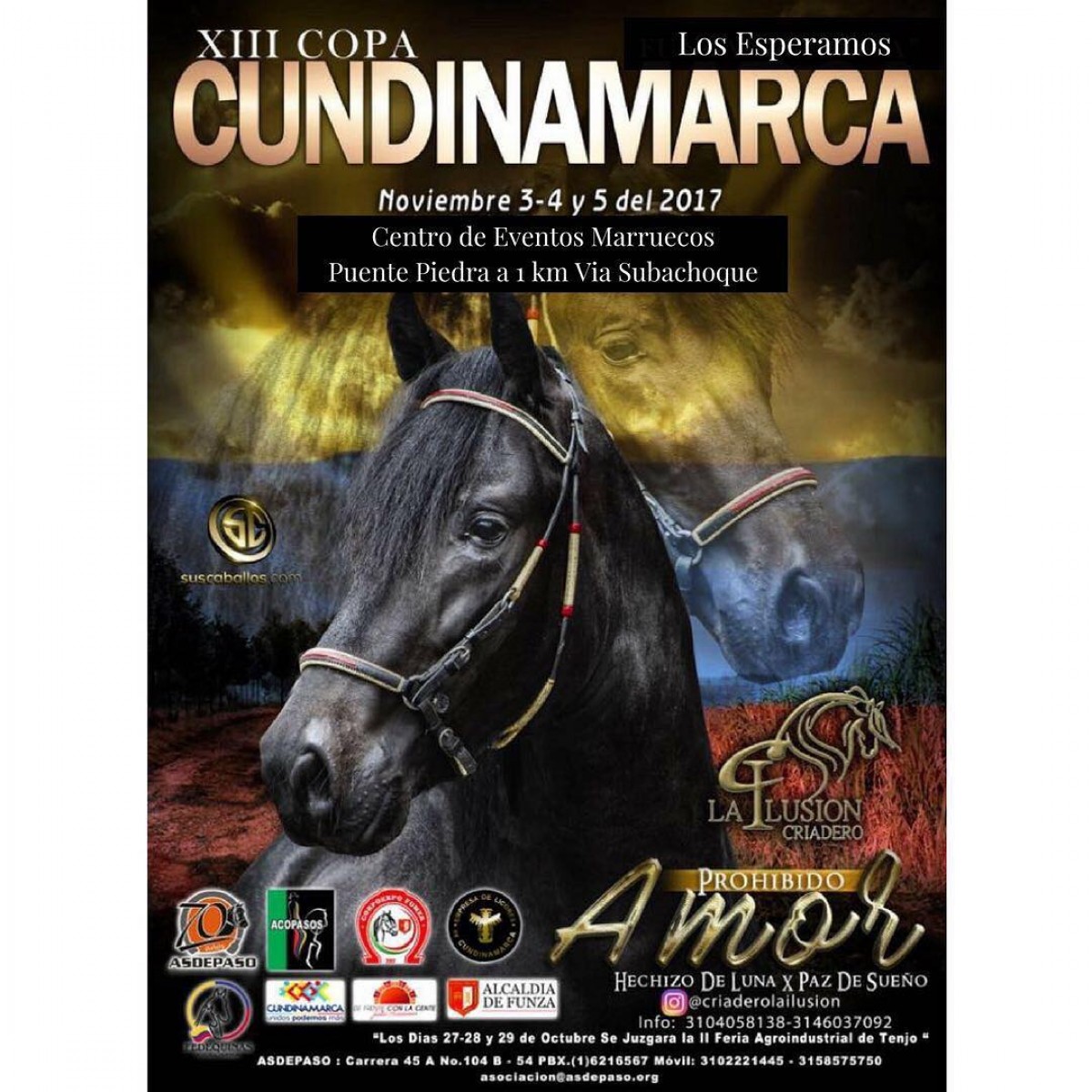 RESULTADOS XXIII Copa Cundinamarca 2017 - PASO FINO COLOMBIANO