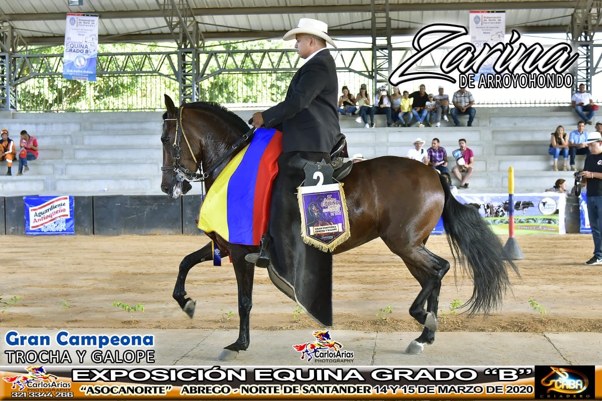 SE VENDE YEGUA TROCHADORA GALOPERA